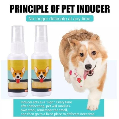 Potty Training Spray for Pets
